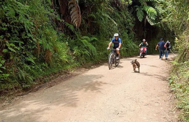 Hakuna Matata Glamping Salento Pumba - Photo 20