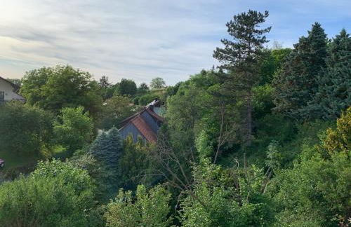 Schwarzwaldmarie - Photo 28