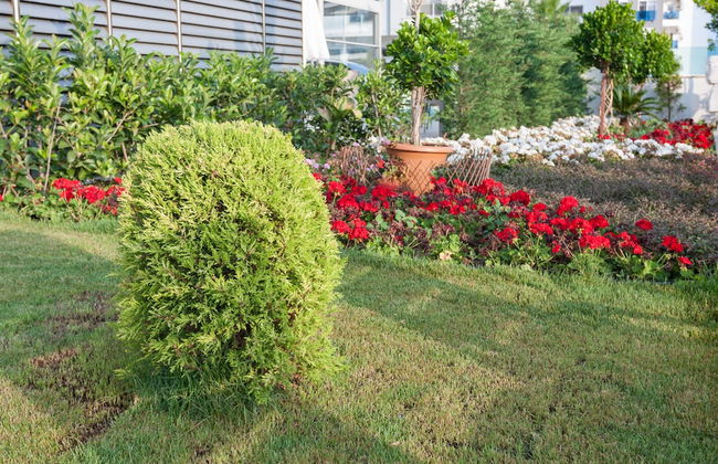 Graf Victor - Foto 69