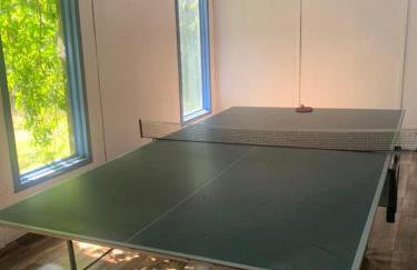 Noclegi Zielona Gęś - Foto 26