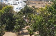 demis Mykonos stay 2 - Foto 27