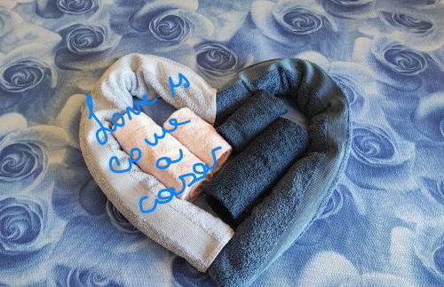 Come a casa - Foto 3