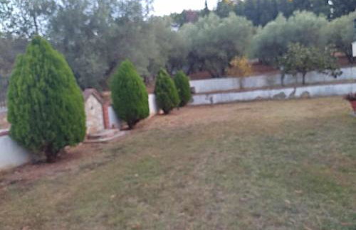 Elaiones house - Photo 9