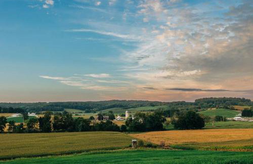 Family Friendly Downtown Apple Creek by Antiques - Foto 16