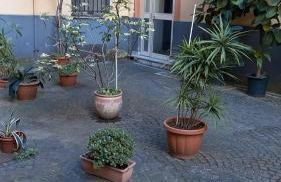 Domus Mea Apartment - Photo 45