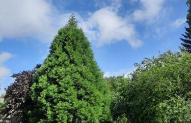 Ferienwohnung Dietel - Foto 24