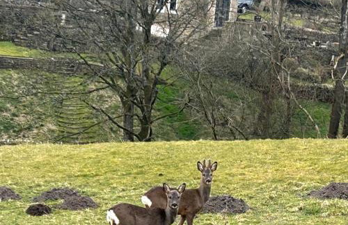 The Barn Cottage - Foto 20