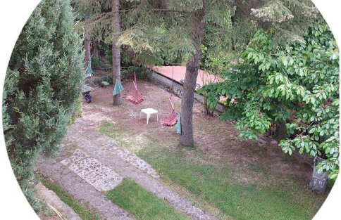 Farma Zdrowia - Foto 68