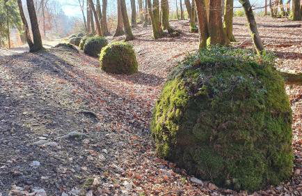 Natur-Design "Platzhirsch Sauerland" - Sauna, Kamin, Balkon, Garten, Hütte, Grill - Foto 59