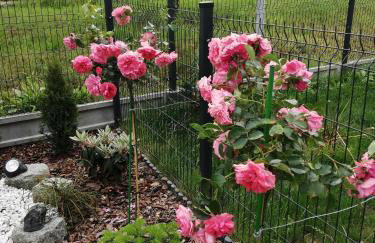 Apartament Zielone Wzgórze 2 - Foto 33