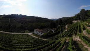 Agriturismo Marcarini - Foto 4