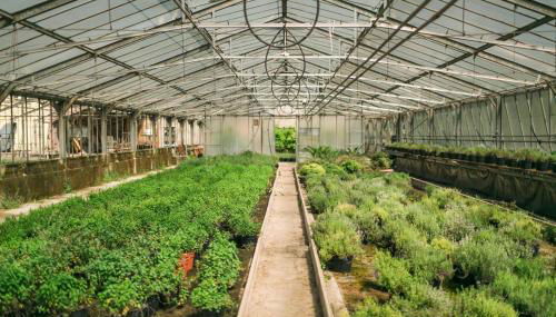 Fondo Brugarolo B&B - Foto 4