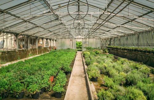 Fondo Brugarolo B&B - Foto 4