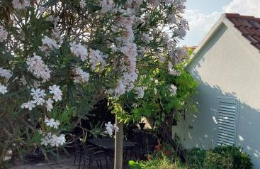 Holiday Home Kamenice - Photo 53