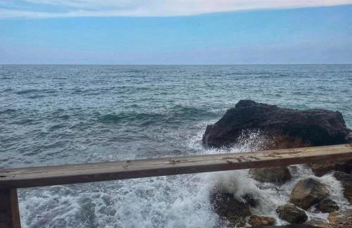 Tros de mar - Foto 22