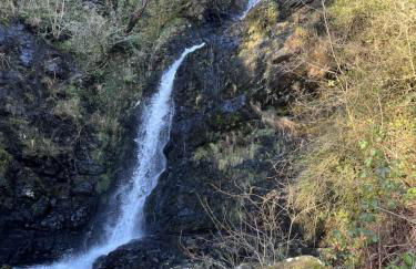 Apple Cottage - Photo 64