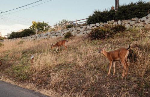 Bos Cozy Victorian Top Floor Duplex Unit with Puget Sound views - Foto 2
