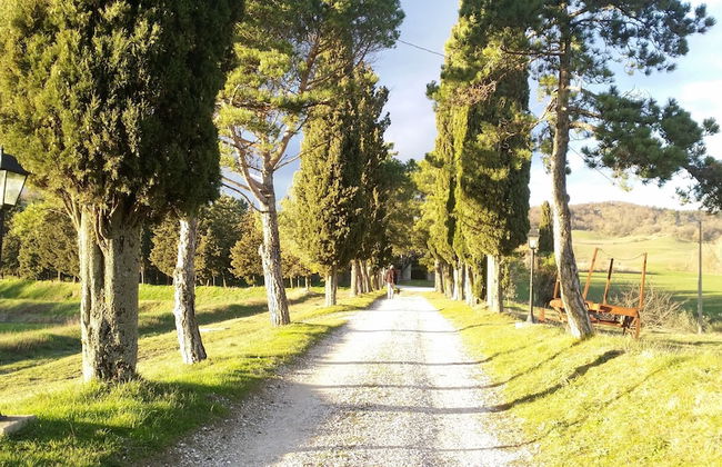 Country House Santa Felicita la Paterna - Foto 30