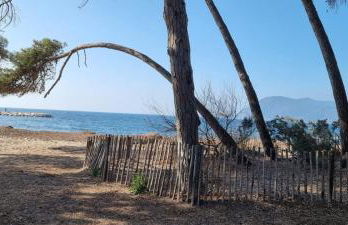 Saint Mandrier Pin Rolland Studio Climatisé 2 pers parking plage pinède, tout à pied - Foto 10