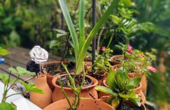 Tranquilidade e linda vista da lagoa - Foto 35