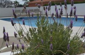 Villa Martí - Photo 1