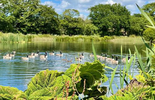 The Lake House , luxury rural retreat - Foto 22