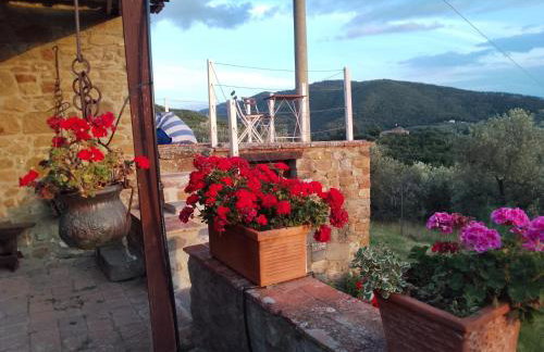 Terrazza sul Chianti - Photo 2