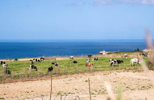 Country House in Azores - S. Miguel - Photo 8
