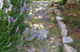 Apartman Biba - Foto 24