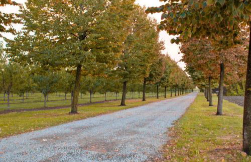 Agriturismo La Lupa - Photo 52