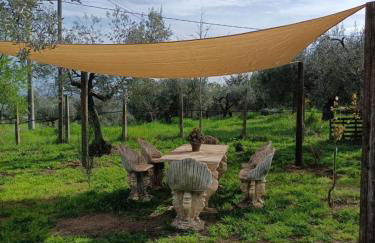 Colle Perazzoni - Foto 43