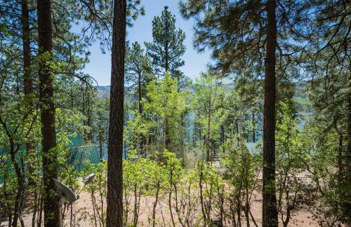 Nellie May Cabin on Vallecito Lake in Bayfield CO - Foto 19