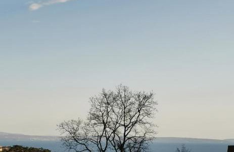 Apartman Harmony - Photo 32