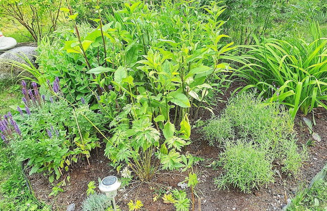 7 Person Holiday Home in Blido-by Traum - Photo 39