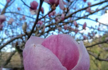 Dom w górach Zacisze lasu - Foto 25