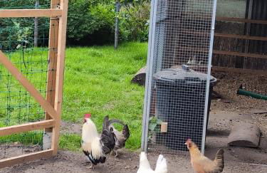 Nikis FeWo an den Dörenther Klippen - Foto 33