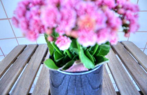 Mouzinho50 - Elegant Apartment - Foto 30