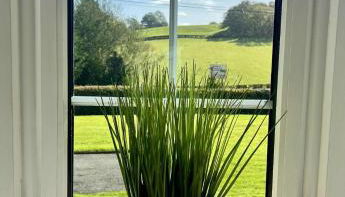 Ty Newydd - Foto 2, Garden view