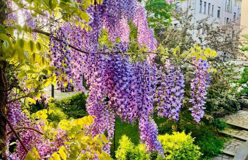 Villa Illuminati - Foto 47