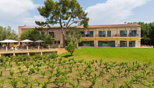 Finca Agroturismo Son Menut - Foto 3