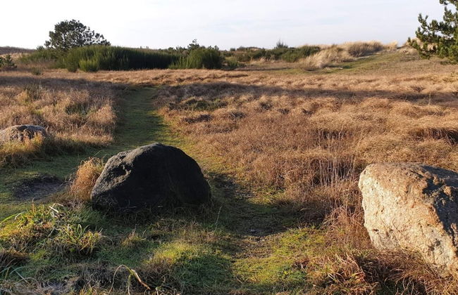 Beachfront Bliss - By Traum Ferienwohnungen - Photo 3