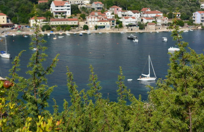 Apartment Bigovo Veljic-traste - Photo 24