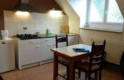 Les Buissonnets - Foto 47