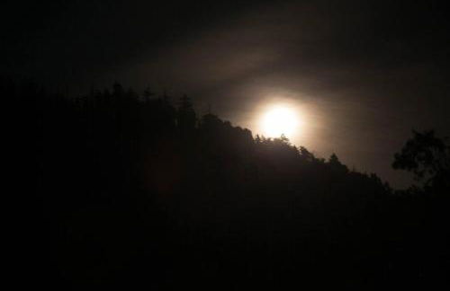 Cozy Rustic Mountain Home with Breathtaking views - Foto 36