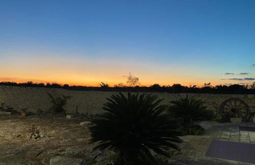 Agriturismo Masseria Saittole - Foto 7