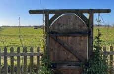 Chestnut Cottage - Foto 9