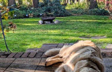 Modern bungalow with direct lake access and fireplace - Photo 16