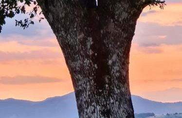 Appartamento in casale rustico - La Masseria - Foto 23