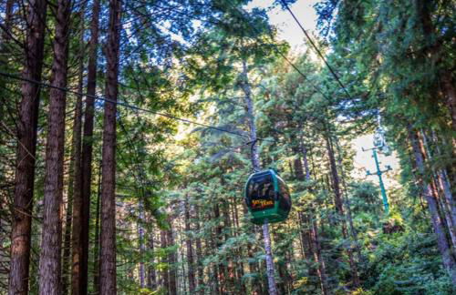 Surfside Beach House near Ancient Redwoods - Foto 69