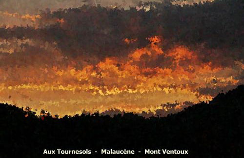 Gîte Aux Tournesols - Photo 35